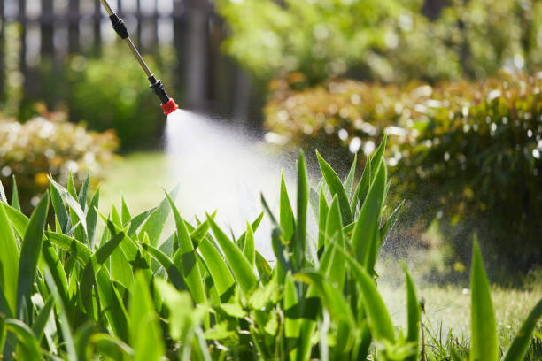 24/7 Emergency Mosquito Control experts in White Plains, NC