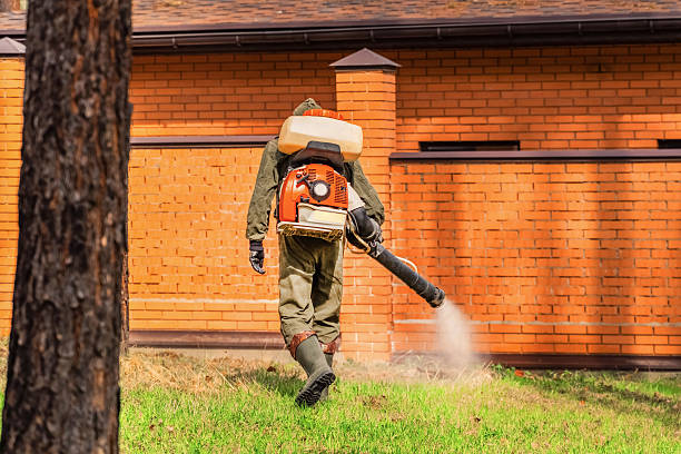 Top rated local Mosquito Control specialists in White Plains, NC